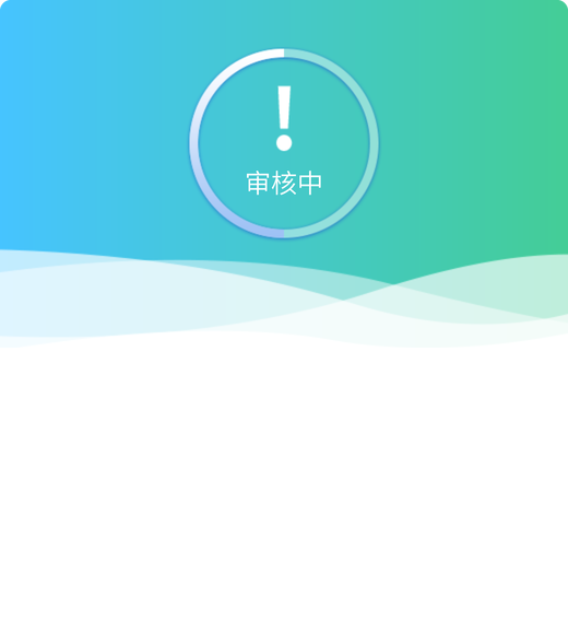 审核中